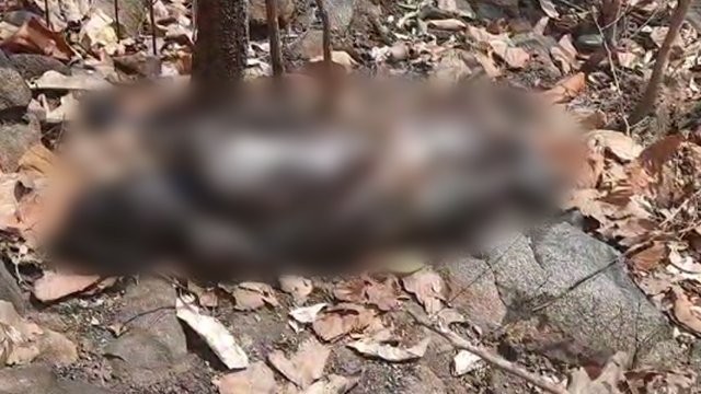 'The corpse asks for help in my dreams...' the man said this at the police station, when the police went to the hill, they were shocked