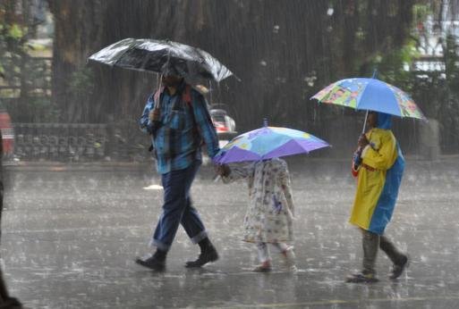 Mumbai is facing havoc due to rainy season diseases, 41 people have died so far, cases will be at peak by November
